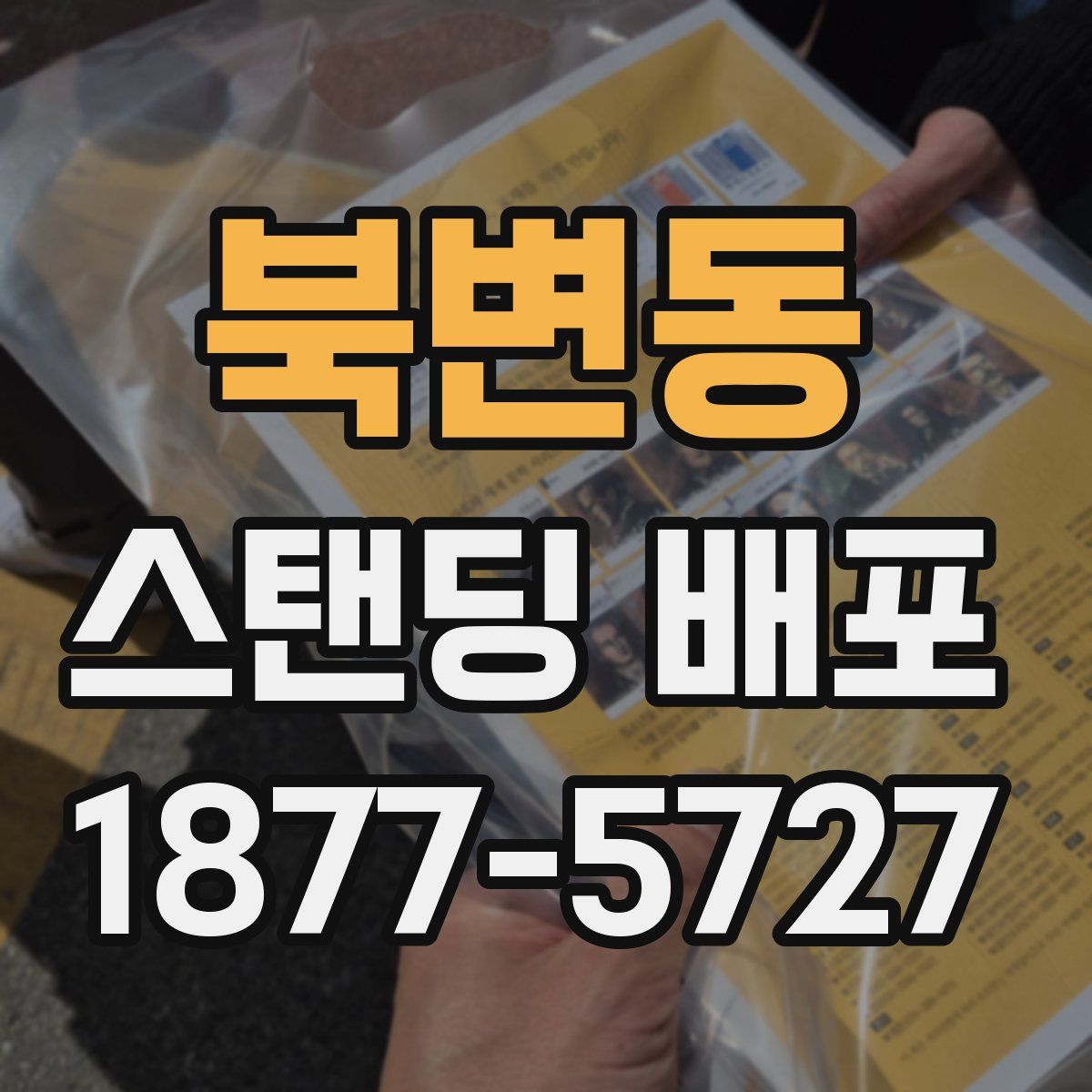 북변동 스탠딩 배포