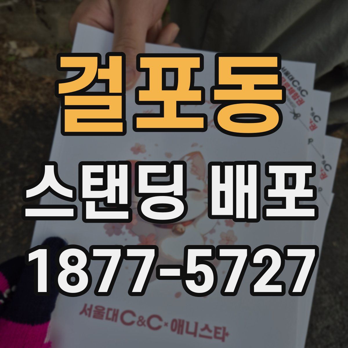 걸포동 스탠딩 배포