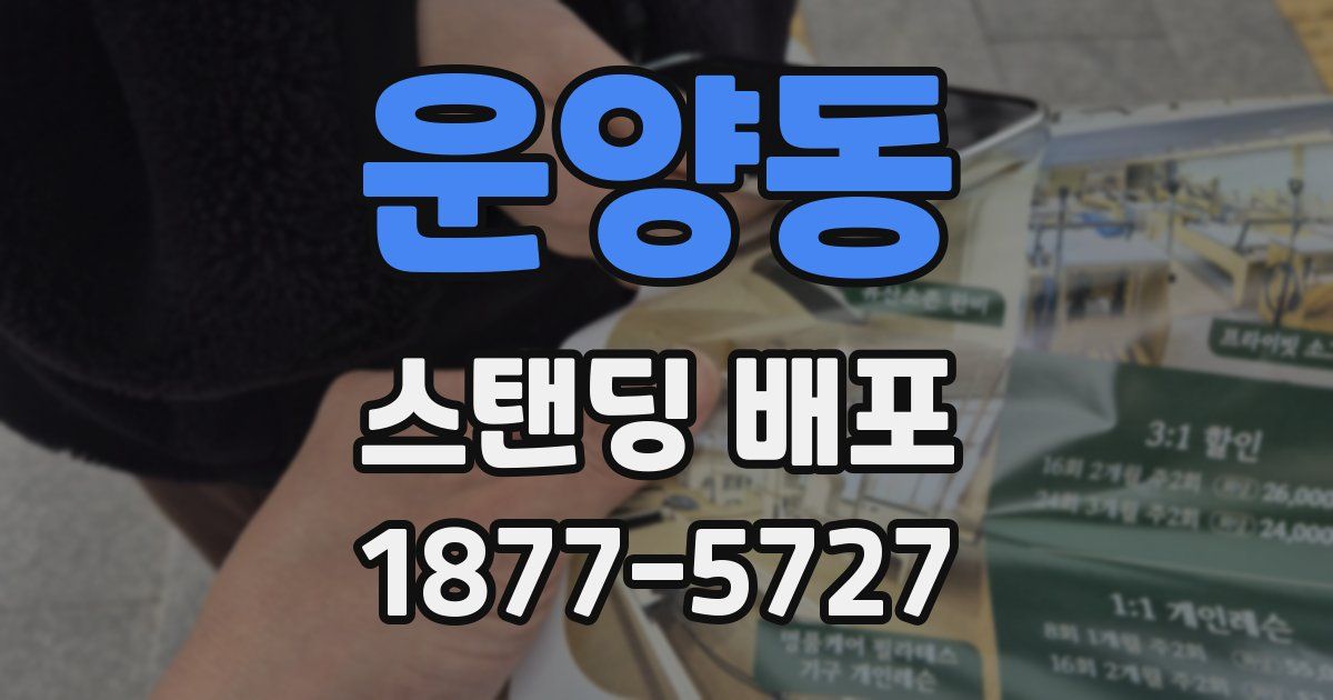 운양동 스탠딩 배포