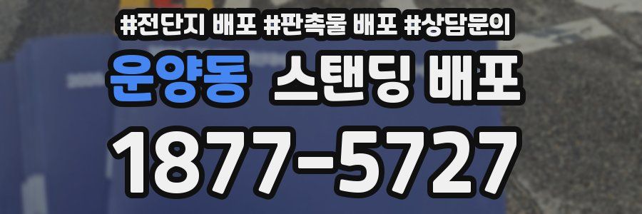 운양동 스탠딩 배포