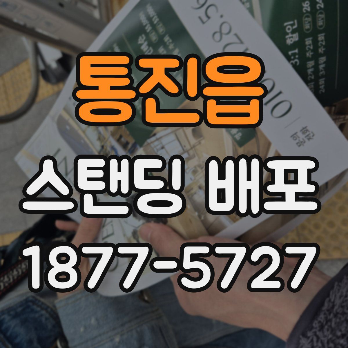 통진읍 스탠딩 배포