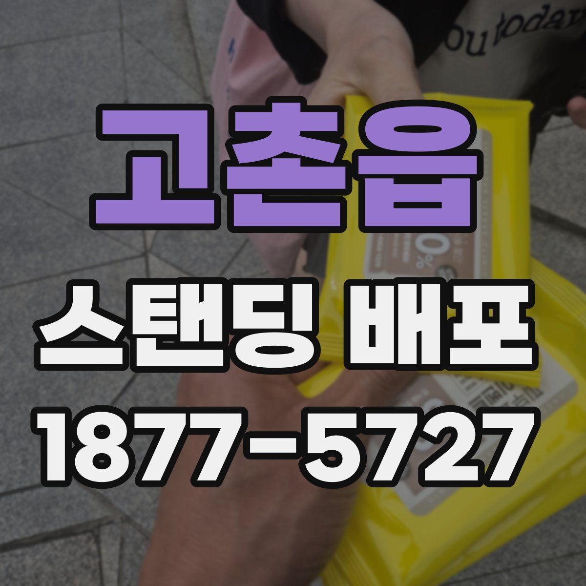 고촌읍 스탠딩 배포