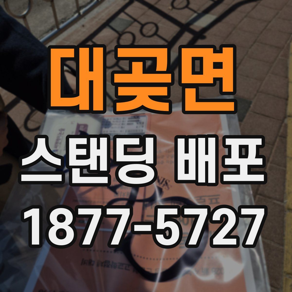 대곶면 스탠딩 배포