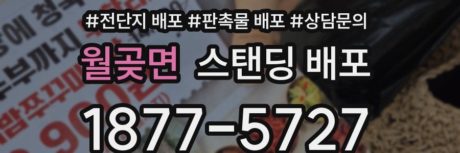 월곶면 스탠딩 배포