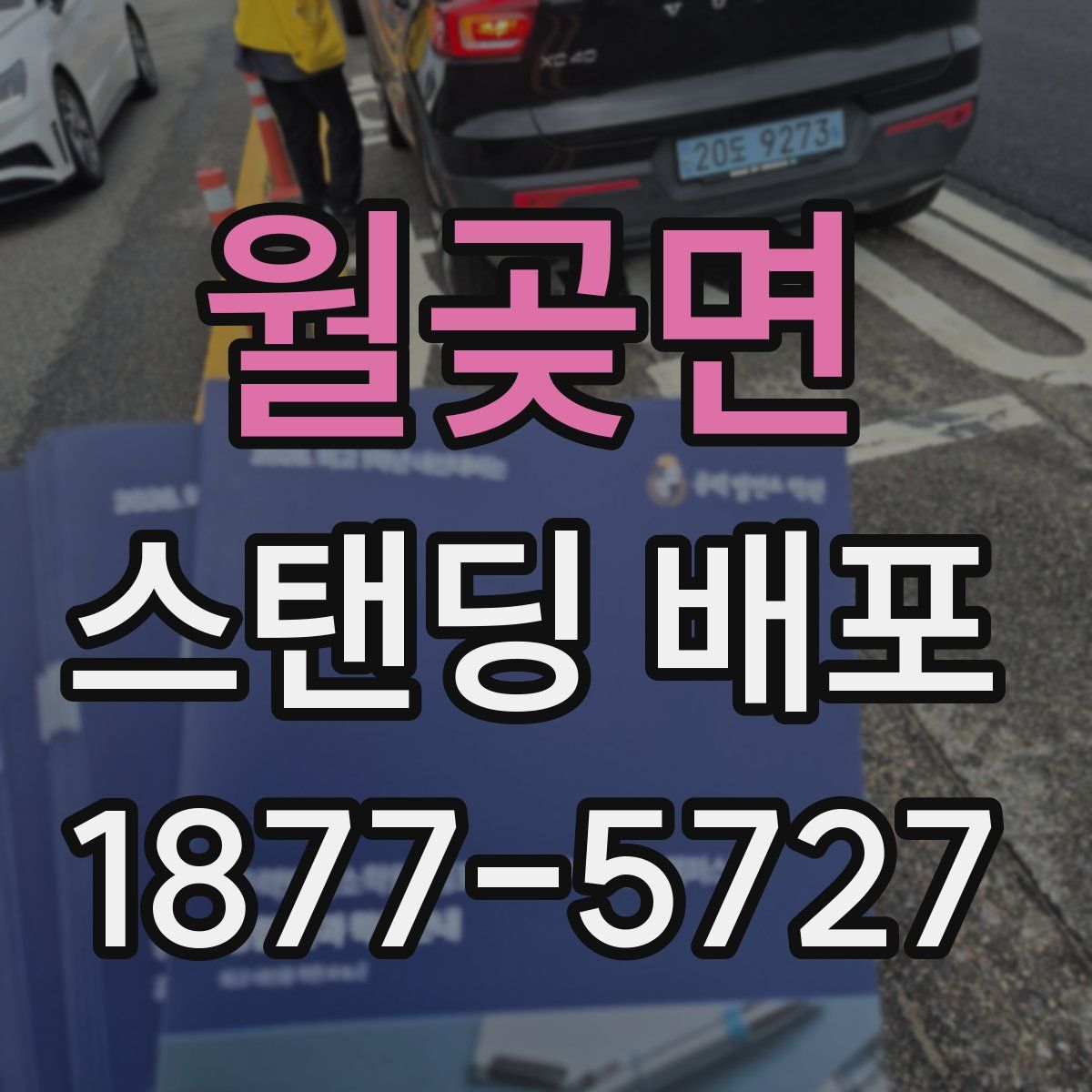 월곶면 스탠딩 배포
