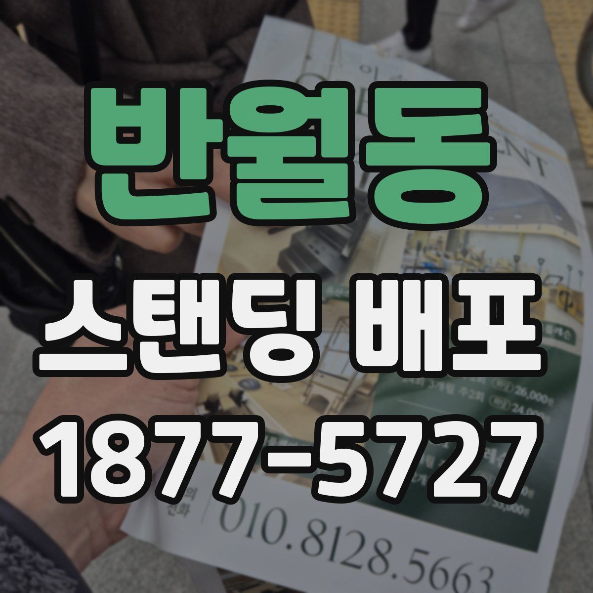 반월동 스탠딩 배포