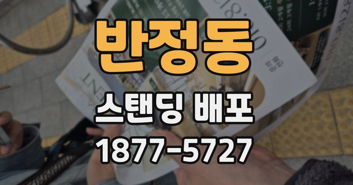 반정동 스탠딩 배포