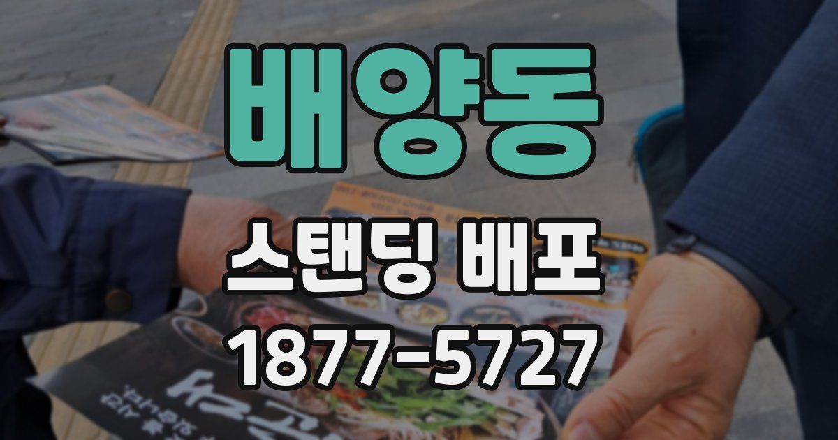 배양동 스탠딩 배포