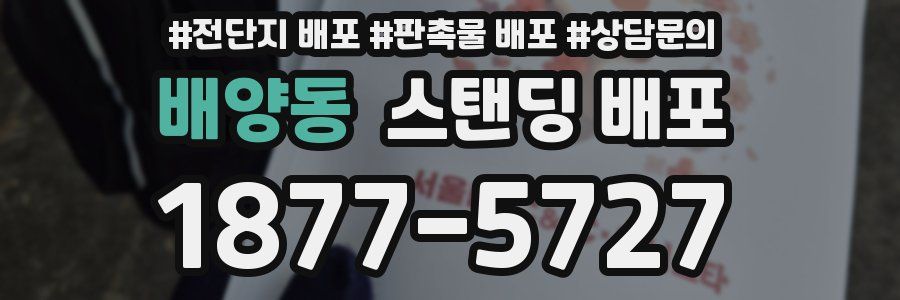 배양동 스탠딩 배포