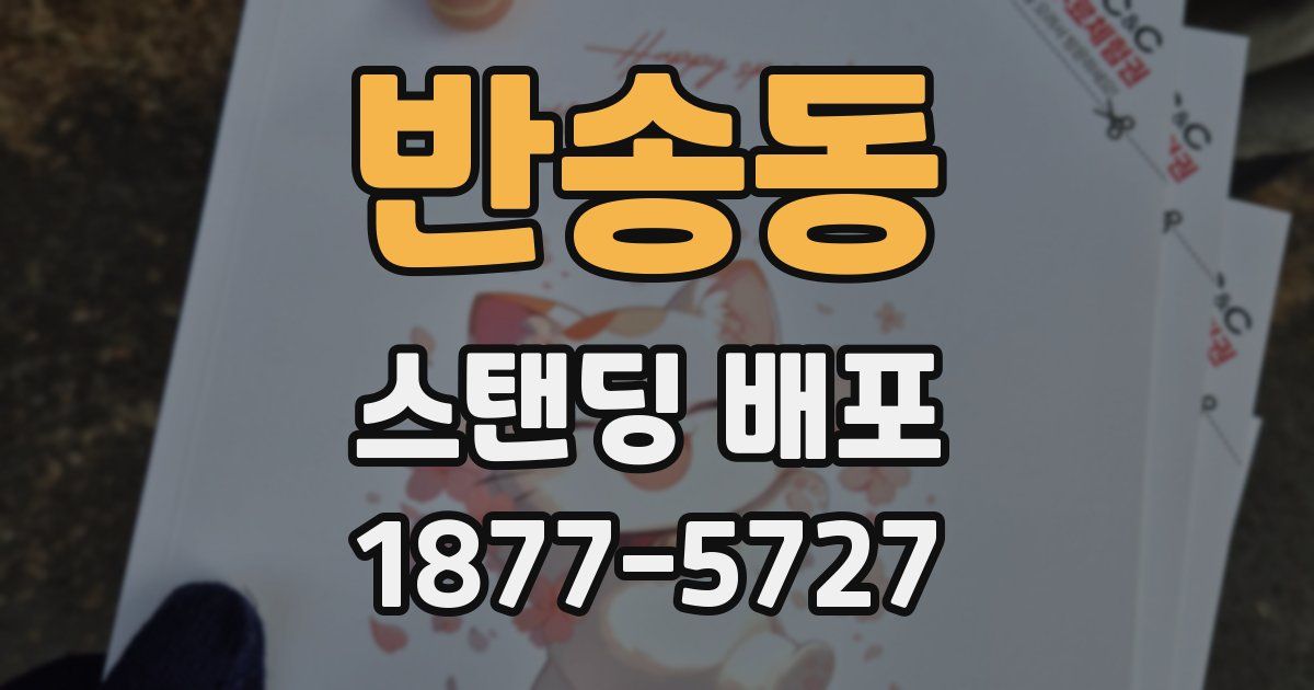 반송동 스탠딩 배포