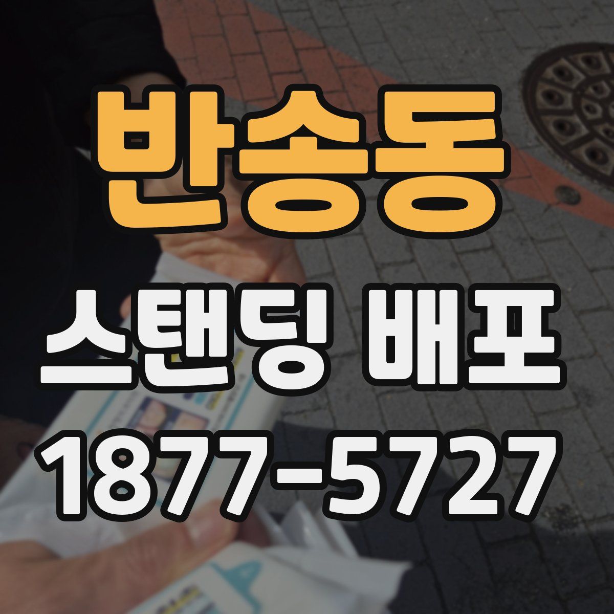 반송동 스탠딩 배포