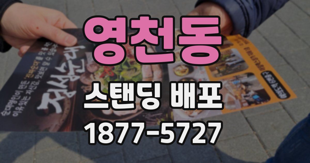 영천동 스탠딩 배포