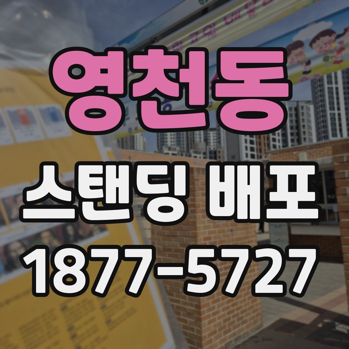 영천동 스탠딩 배포