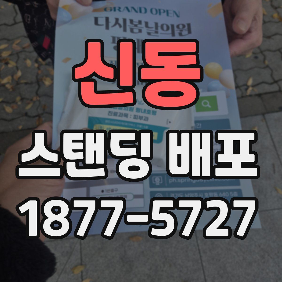 신동 스탠딩 배포