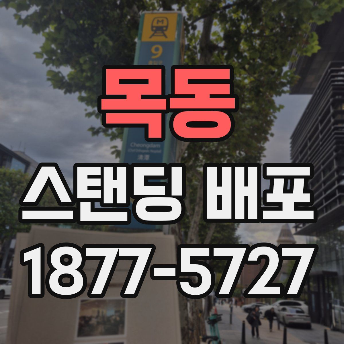 목동 스탠딩 배포