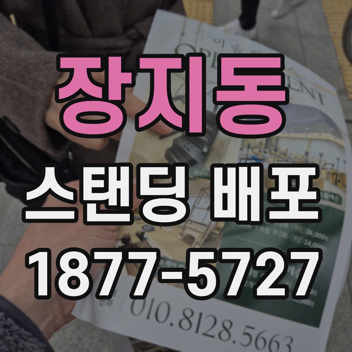 장지동 스탠딩 배포