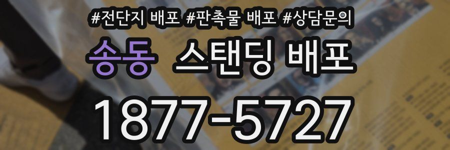 송동 스탠딩 배포