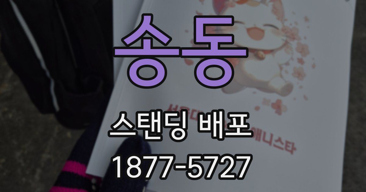 송동 스탠딩 배포