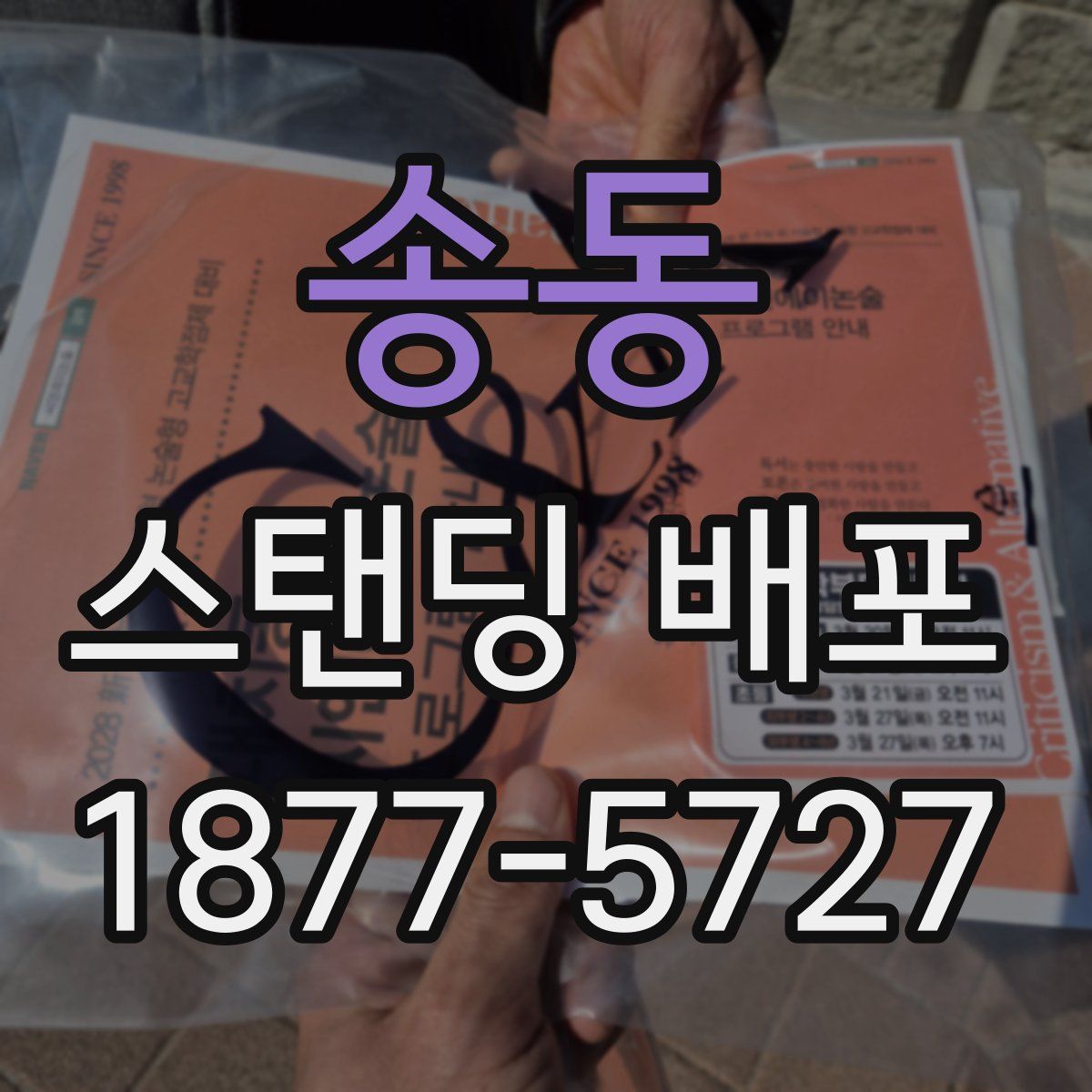 송동 스탠딩 배포