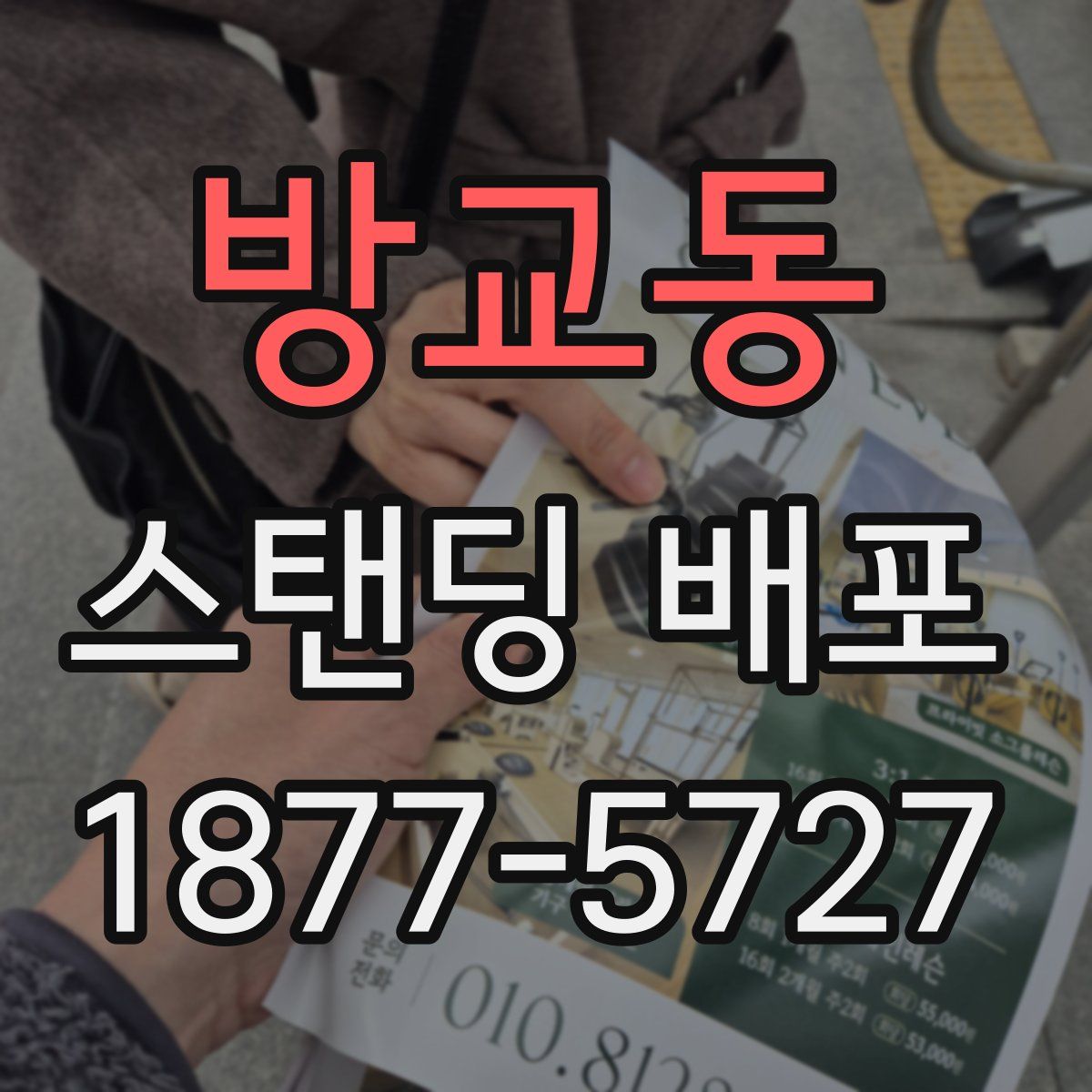 방교동 스탠딩 배포
