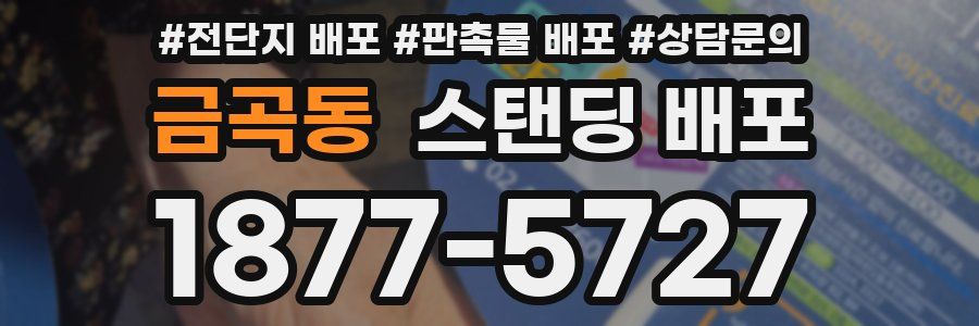 금곡동 스탠딩 배포