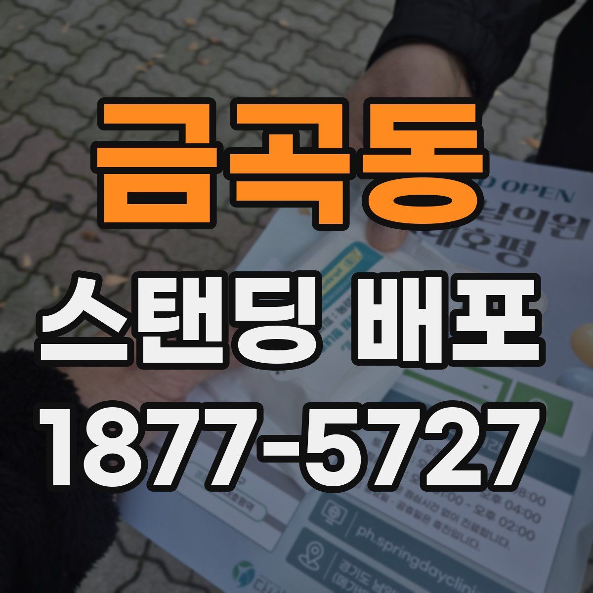 금곡동 스탠딩 배포