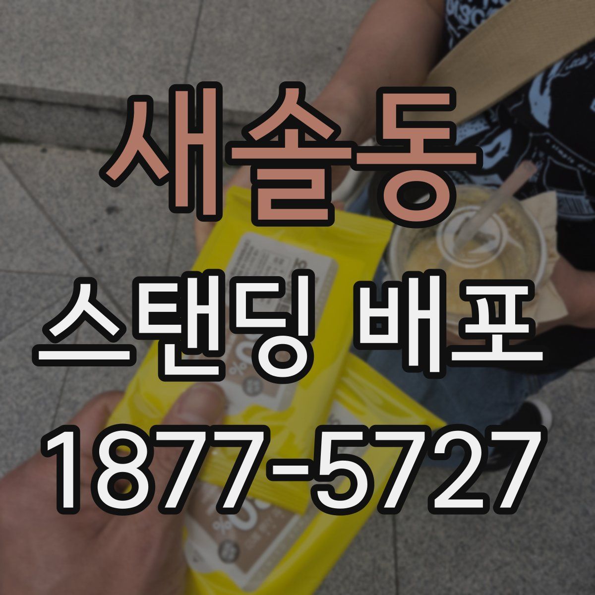 새솔동 스탠딩 배포