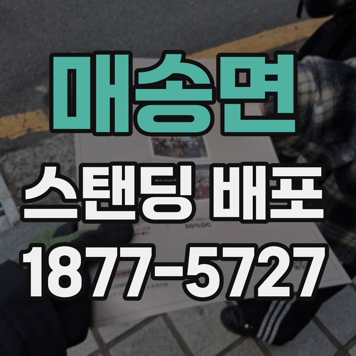 매송면 스탠딩 배포