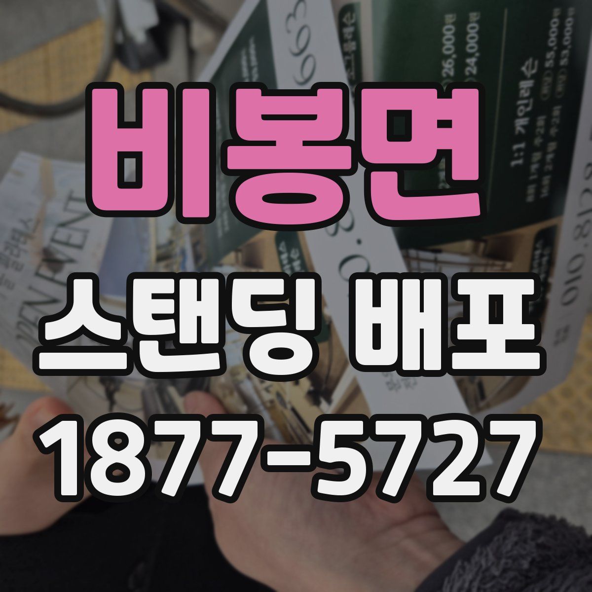 비봉면 스탠딩 배포