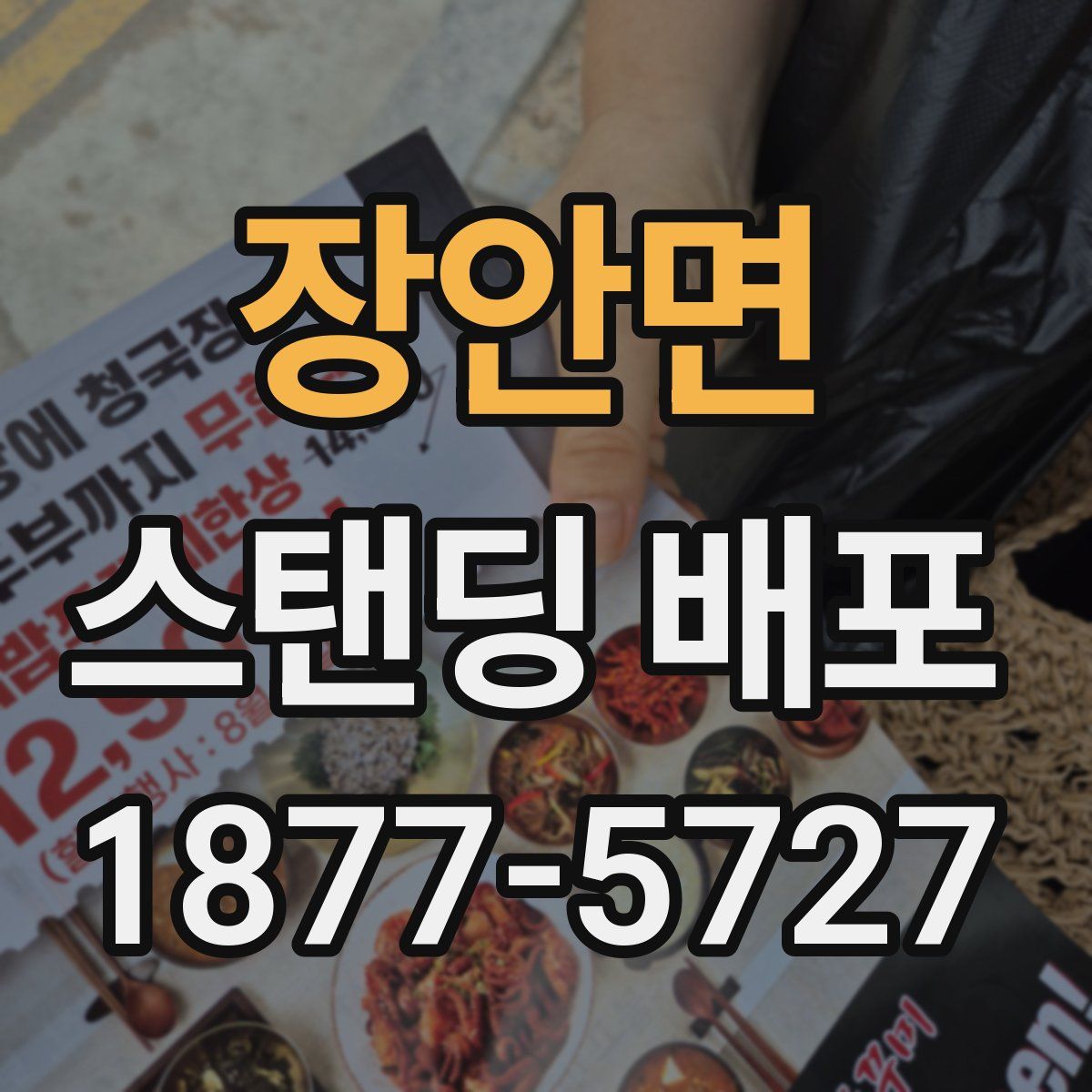 장안면 스탠딩 배포