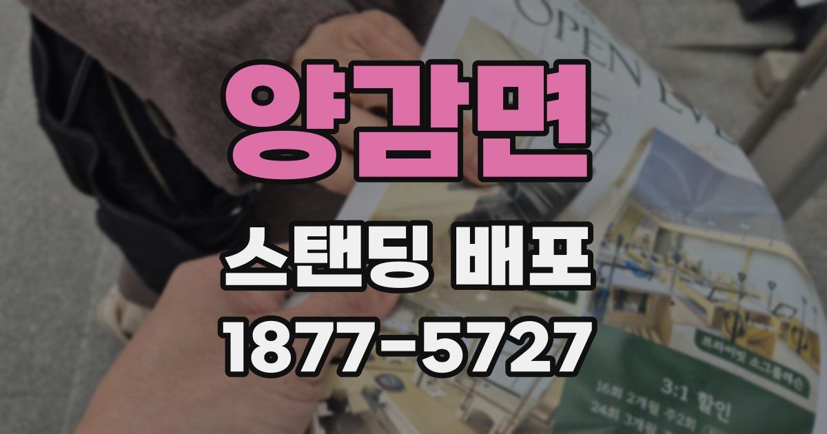 양감면 스탠딩 배포