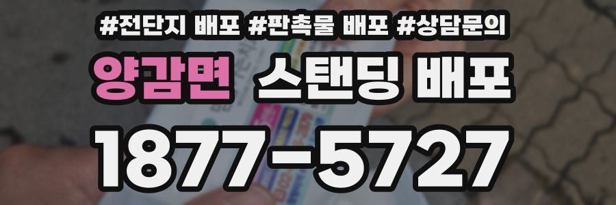 양감면 스탠딩 배포