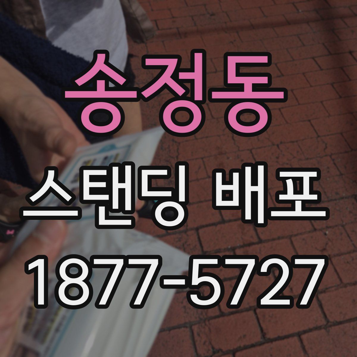 송정동 스탠딩 배포