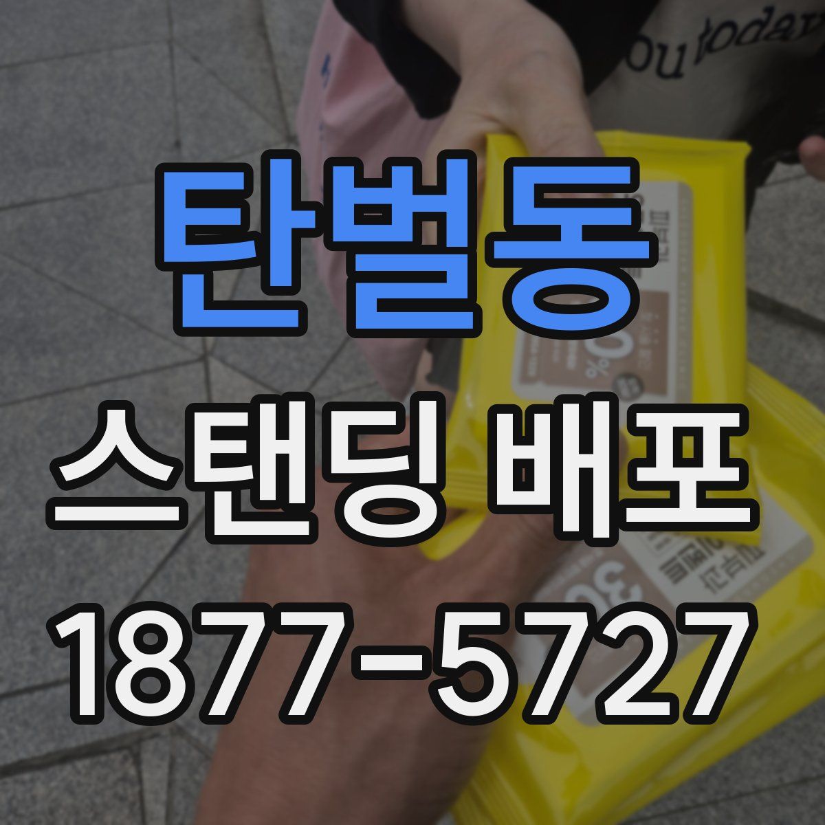 탄벌동 스탠딩 배포
