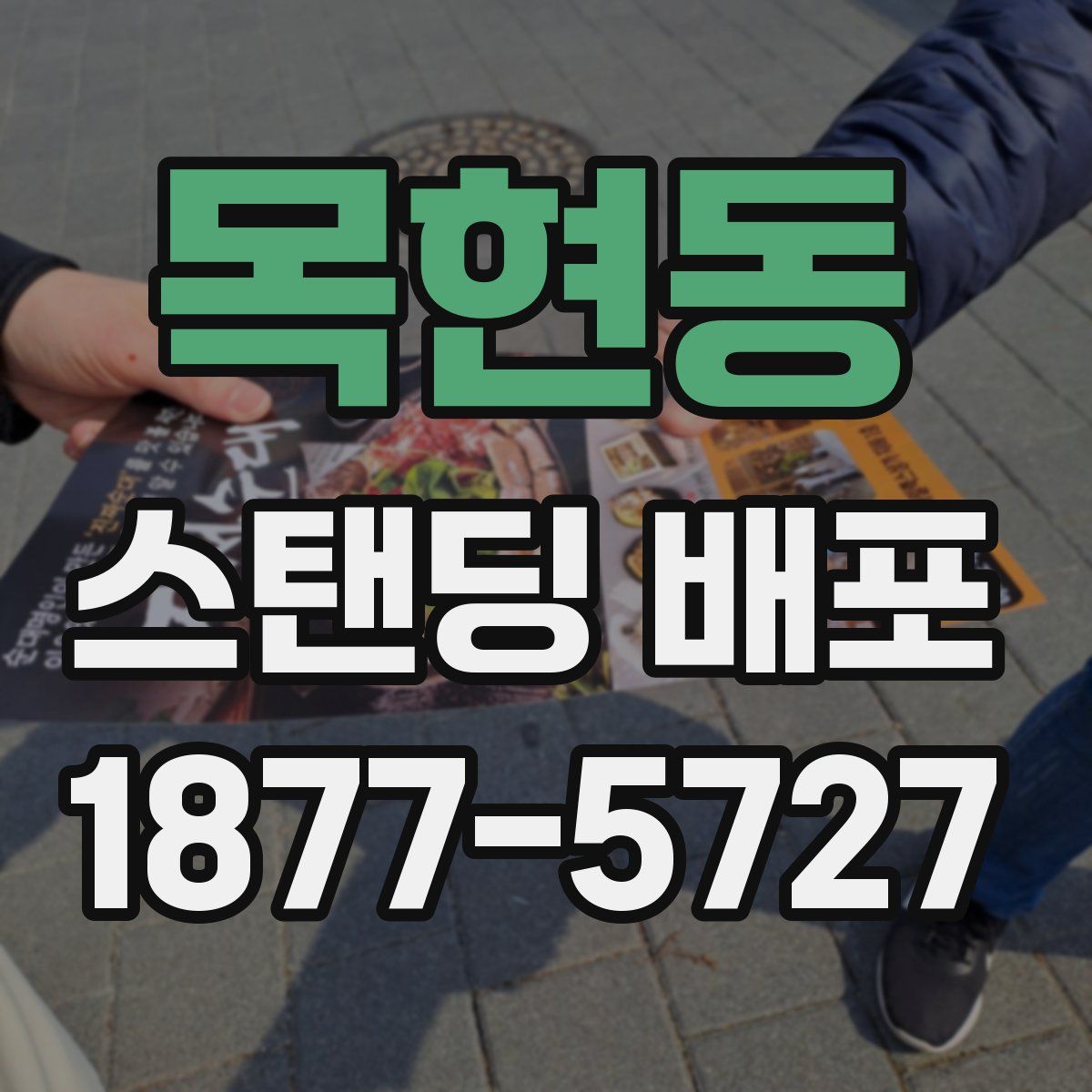 목현동 스탠딩 배포