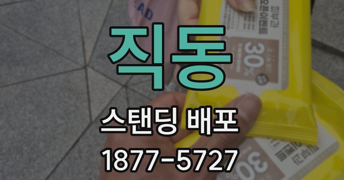 직동 스탠딩 배포