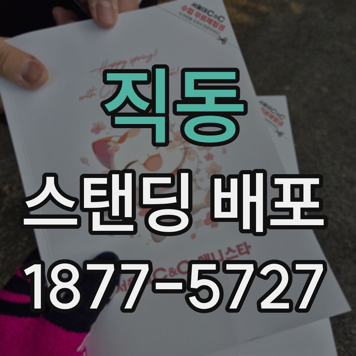 직동 스탠딩 배포