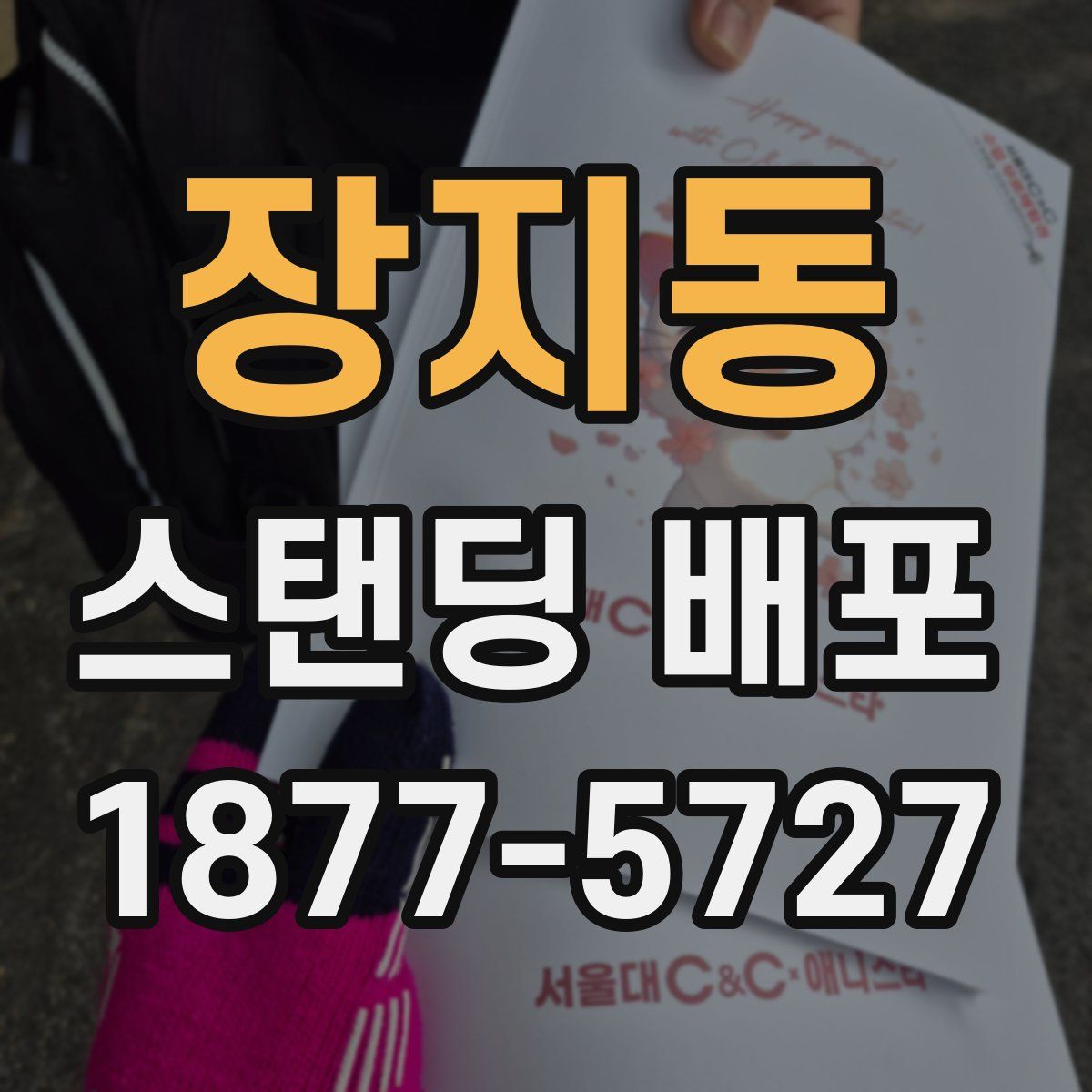 장지동 스탠딩 배포