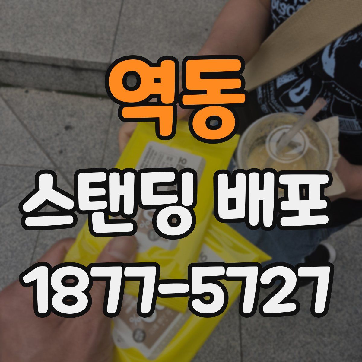역동 스탠딩 배포