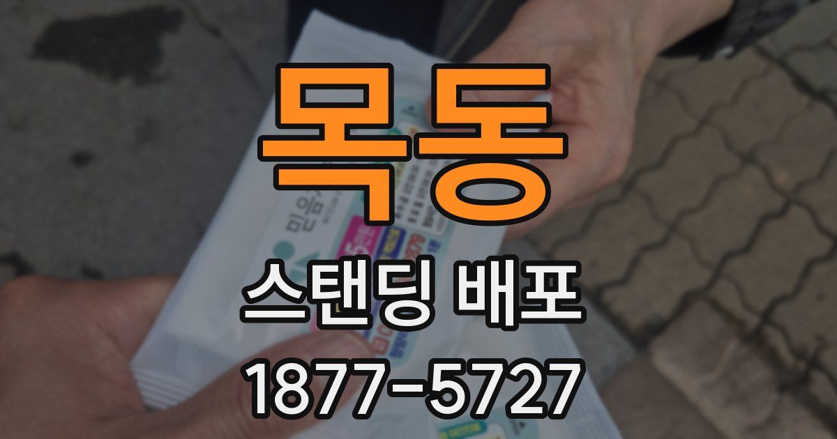 목동 스탠딩 배포