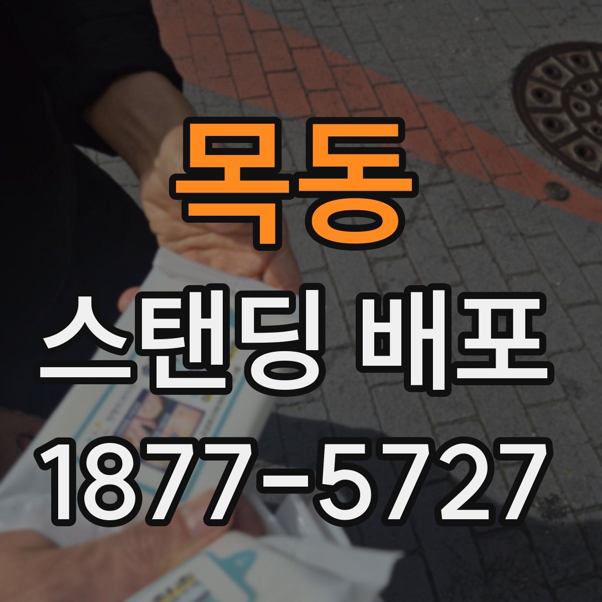 목동 스탠딩 배포