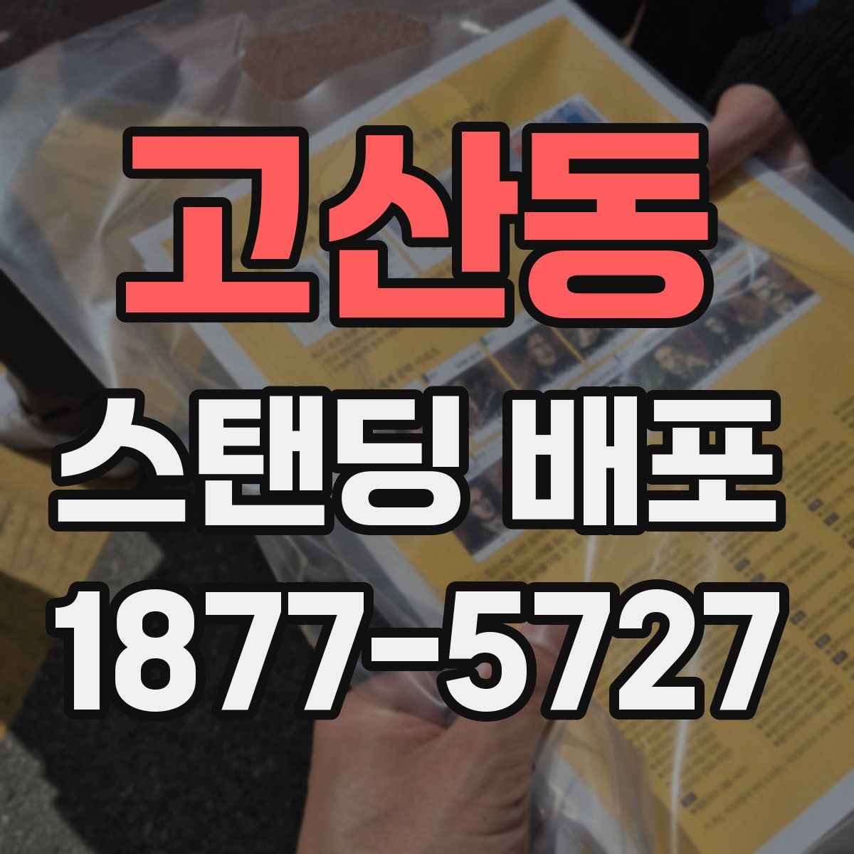 고산동 스탠딩 배포