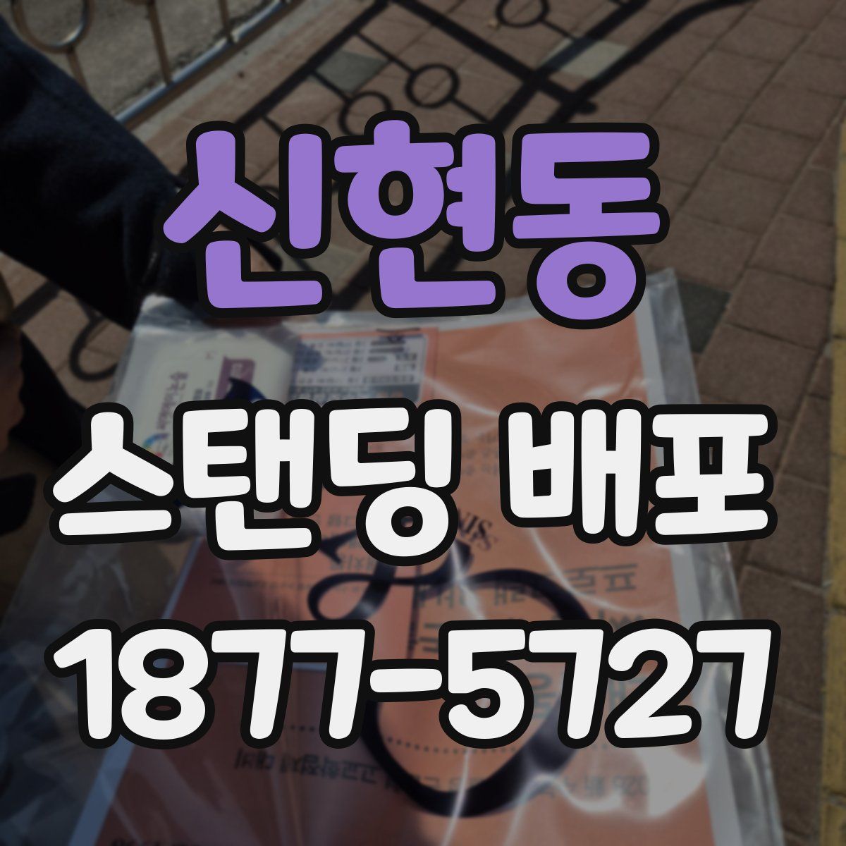 신현동 스탠딩 배포