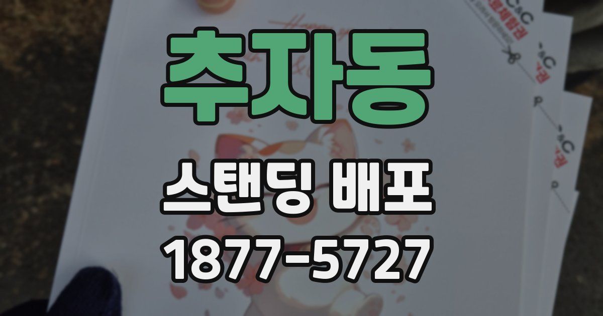 추자동 스탠딩 배포