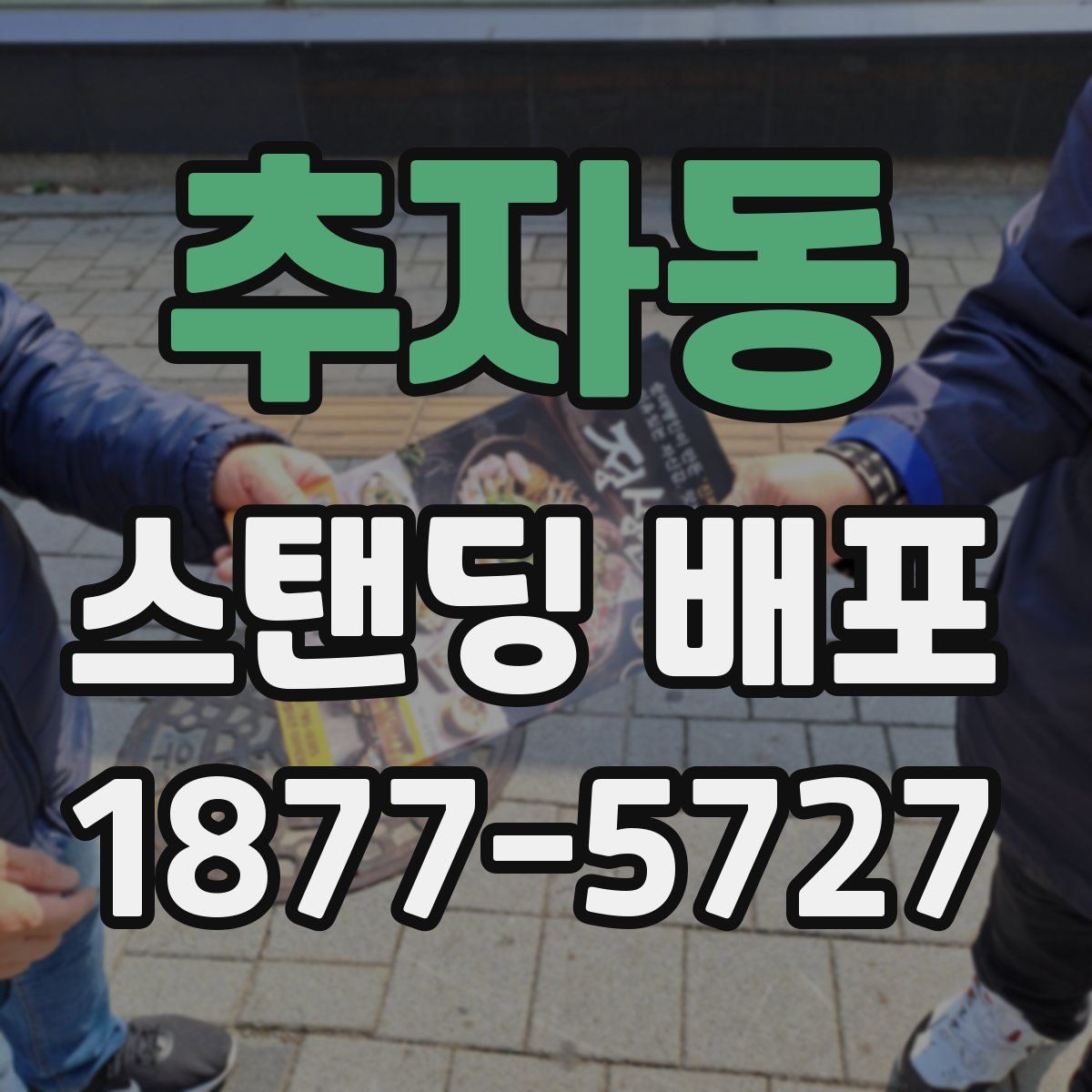 추자동 스탠딩 배포