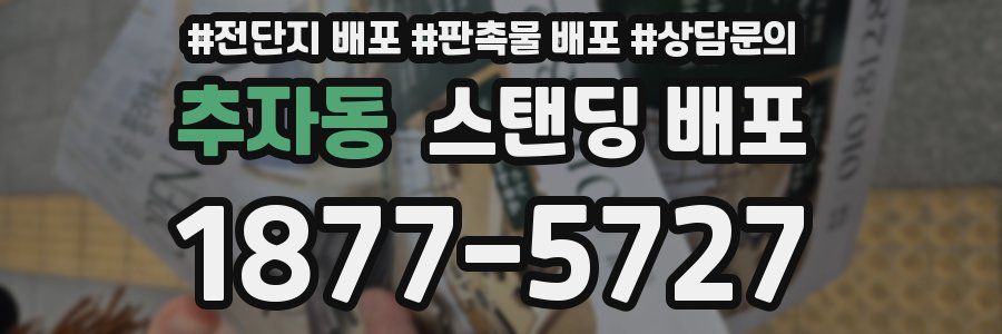 추자동 스탠딩 배포
