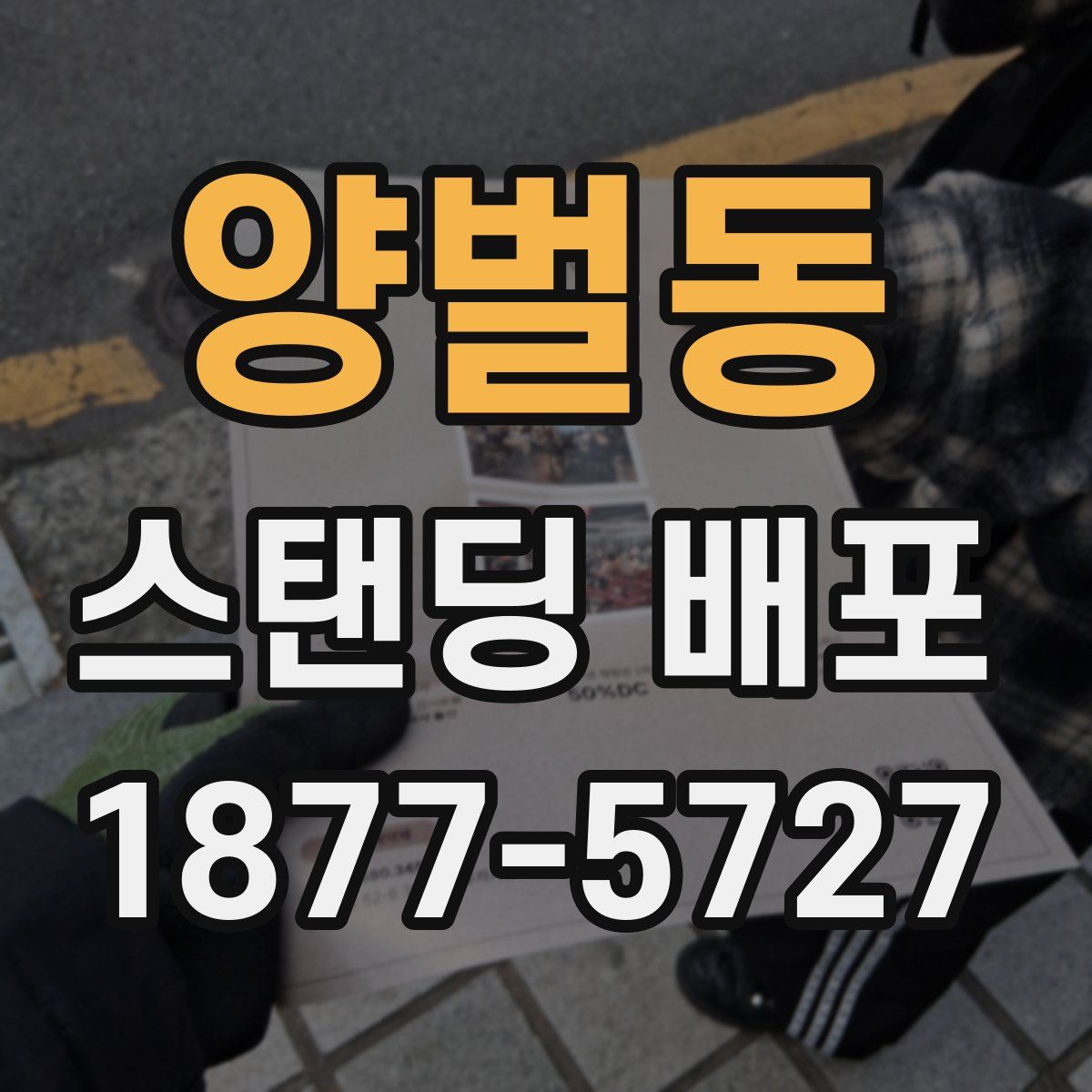 양벌동 스탠딩 배포