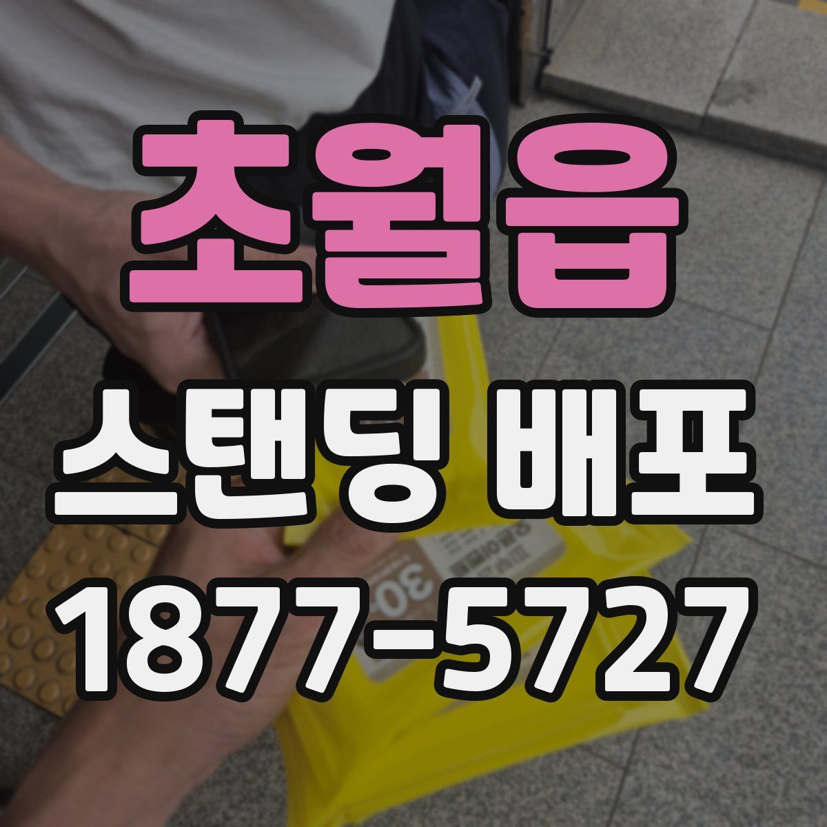 초월읍 스탠딩 배포