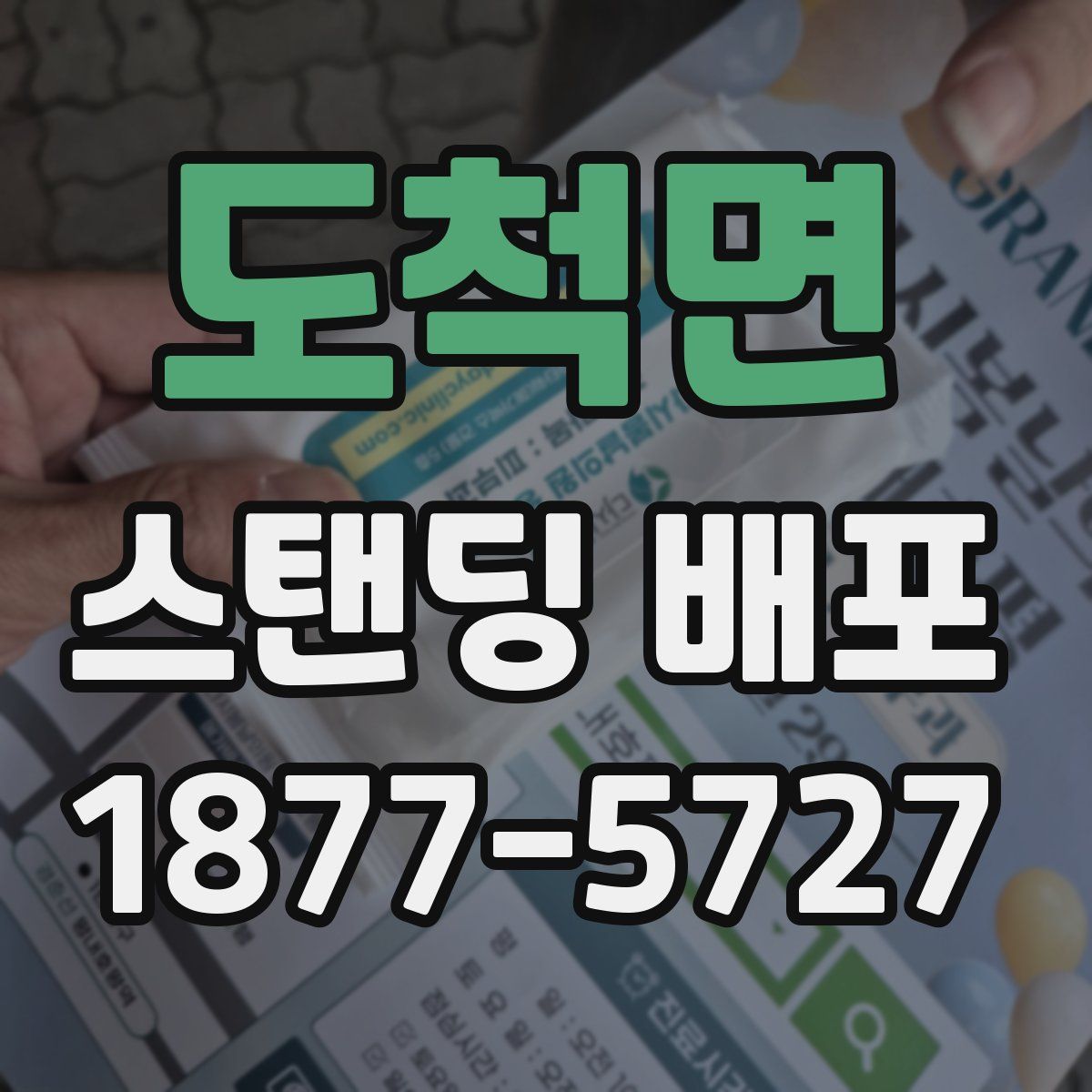 도척면 스탠딩 배포