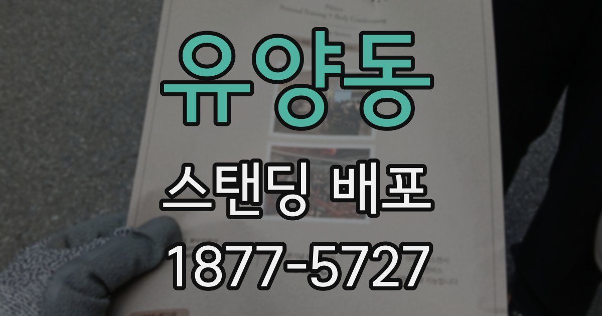 유양동 스탠딩 배포